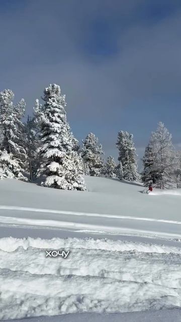 🏡 Таунхаус, где природа и город — в одном месте