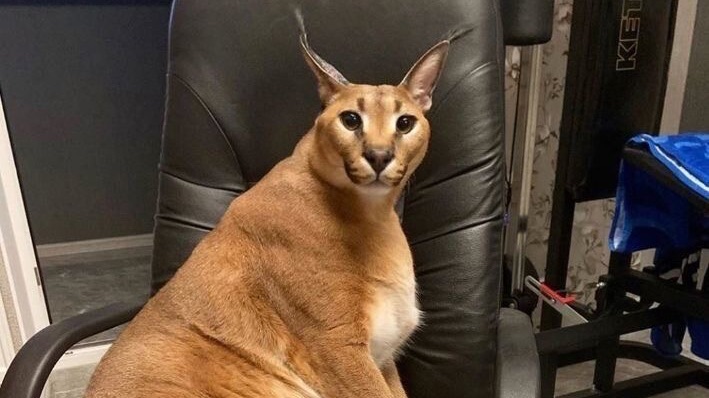 Сбежавший 4 серия 1 сезон