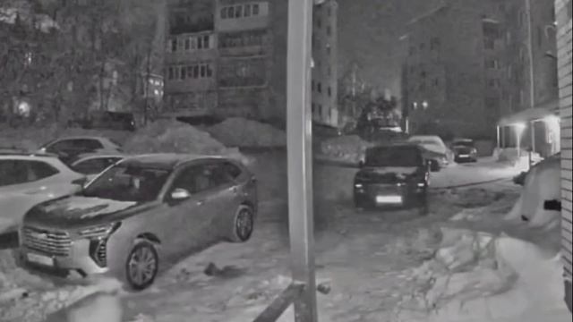 Спустила собаку с поводка и пожалела