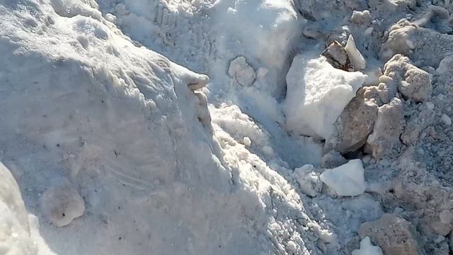 изучаем гору рядом с домом😱