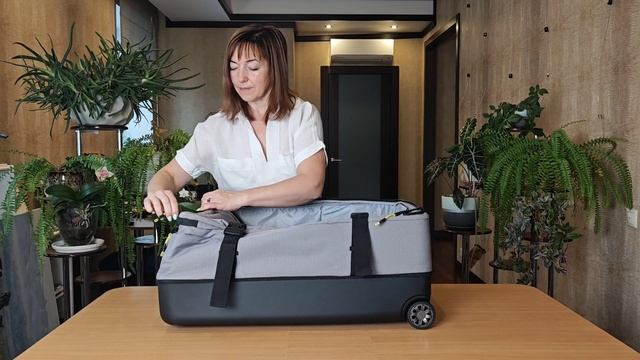 Чемодан, размер L, Polar Р2677 (28), серый