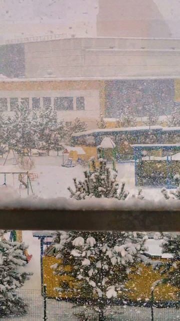 8642d4d19320cc4d204983e62d0740f6