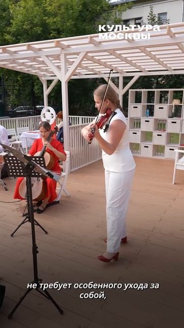 Усадьбы Москвы (Лето в Москве)