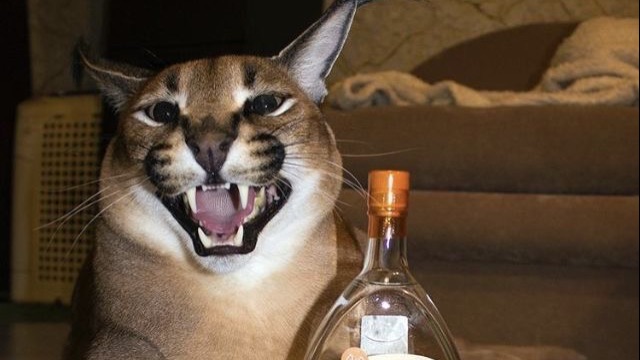 Сбежавший 1 сезон 5 серия