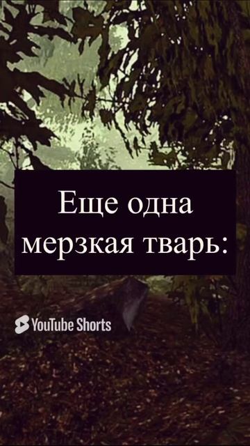𝐆𝐨𝐭𝐡𝐢𝐜 𝟐: Еще одна мерзкая тварь