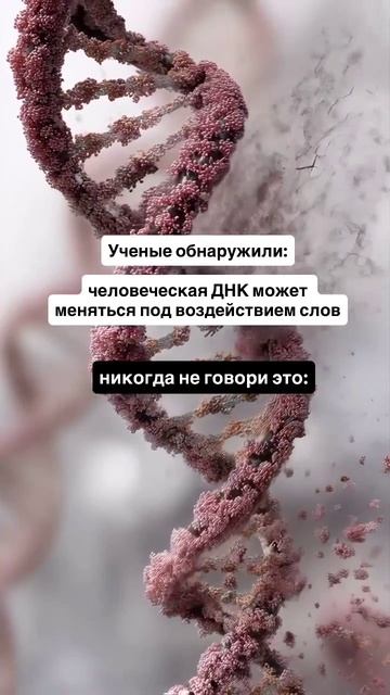 Никогда не произноси это
