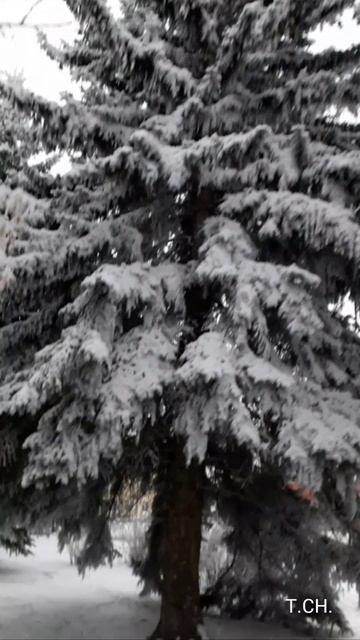 По городам и весям // зима