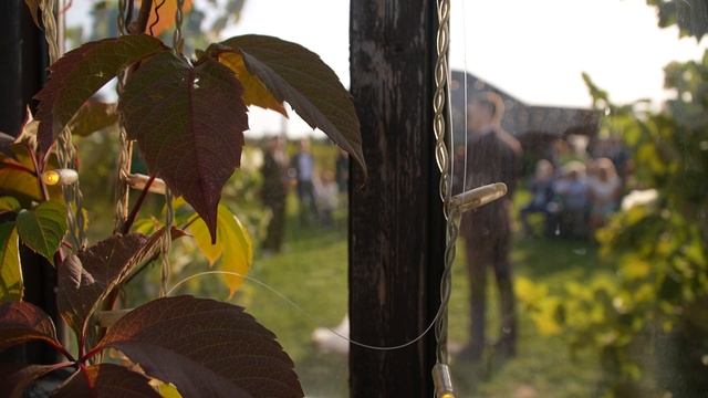 свадебное видео