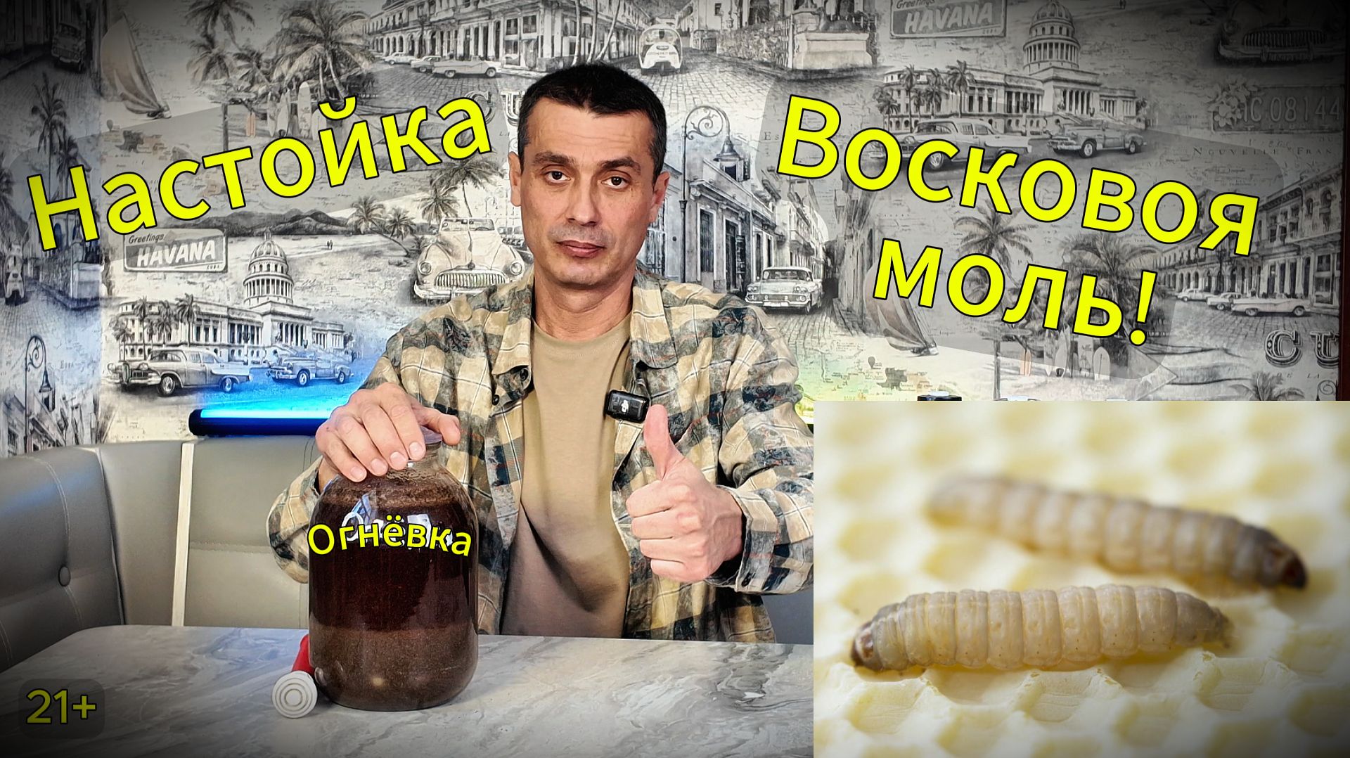 34cce863f5d35082b9fa4e1e89dcce17