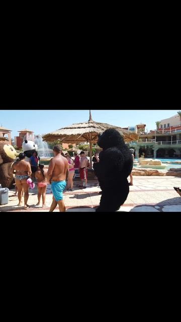 Анимация в отеле Faraana