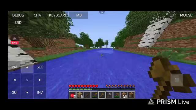 Выживаю в мире майнкрафт