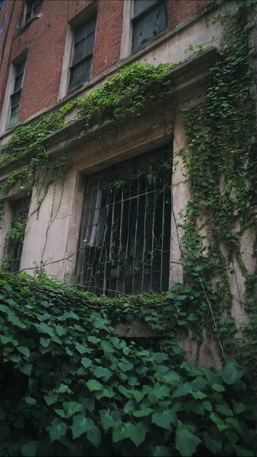 Заброшенное здание, окутанное зеленью #заброшенные #архитектура #природа