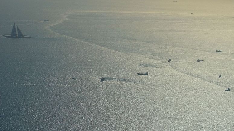 СКА январь 2026 на песню Dj Kras, Risha - Красный свет