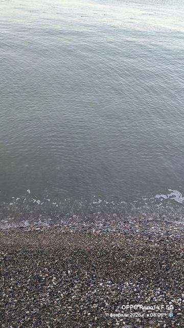 11.02.2026 Лазаревское