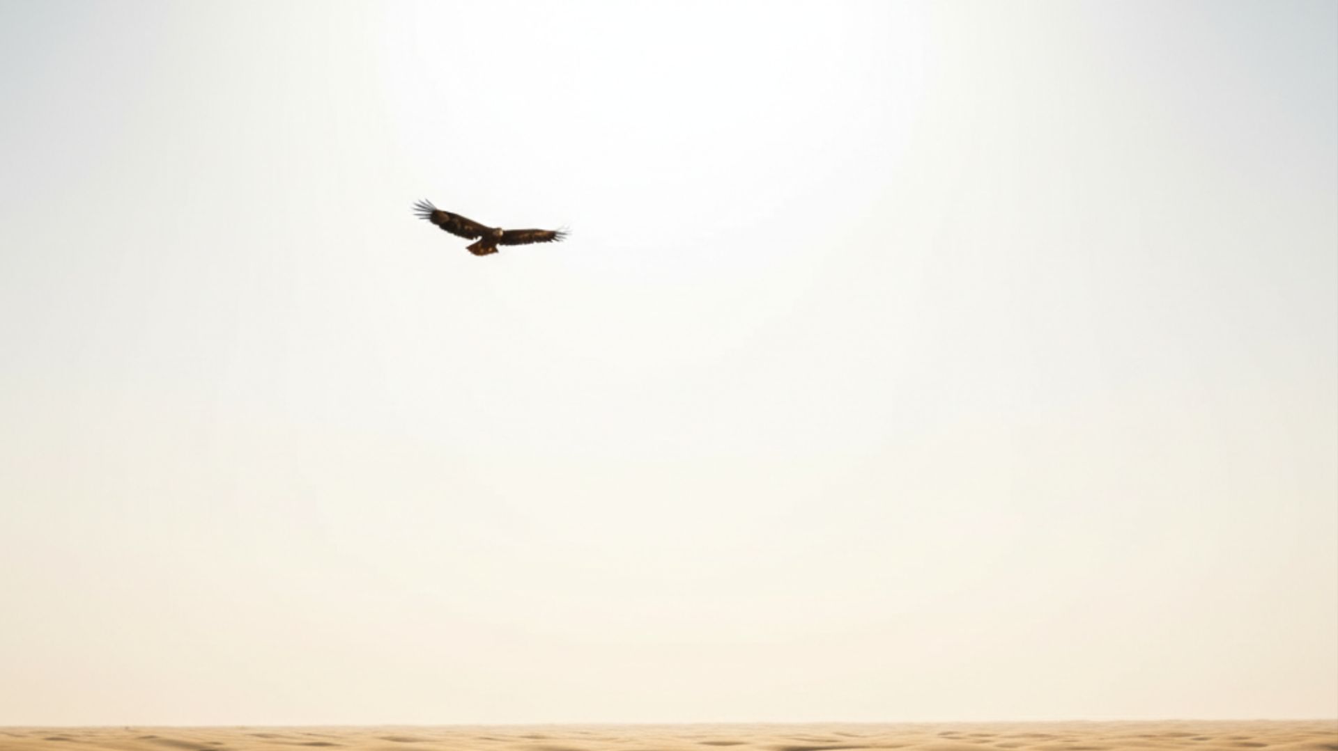 Непреклонённый