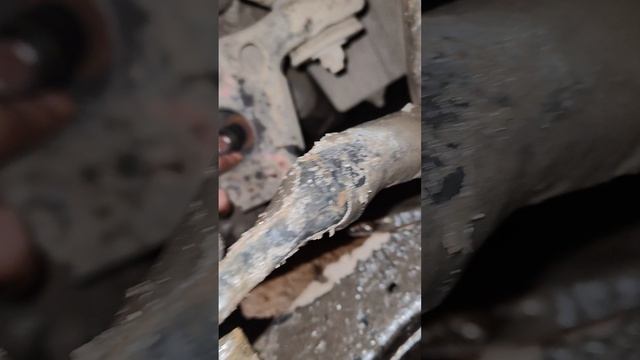 только задний