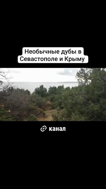 18c184fd4c6cd527e4de4a72b0224950