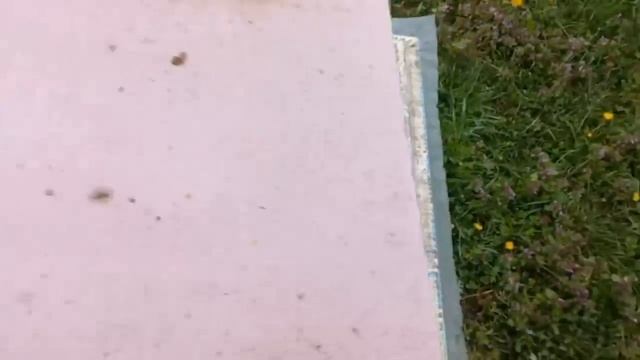 Правильное Расширение Гнезда без Болячек!!!