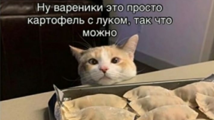 360face47299aecb0026fd98c71d1851