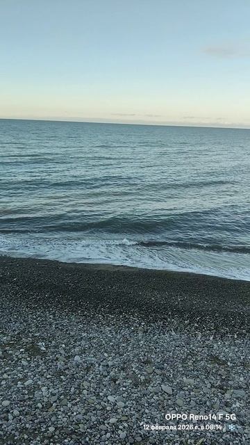 12.02.2026 Лазаревское