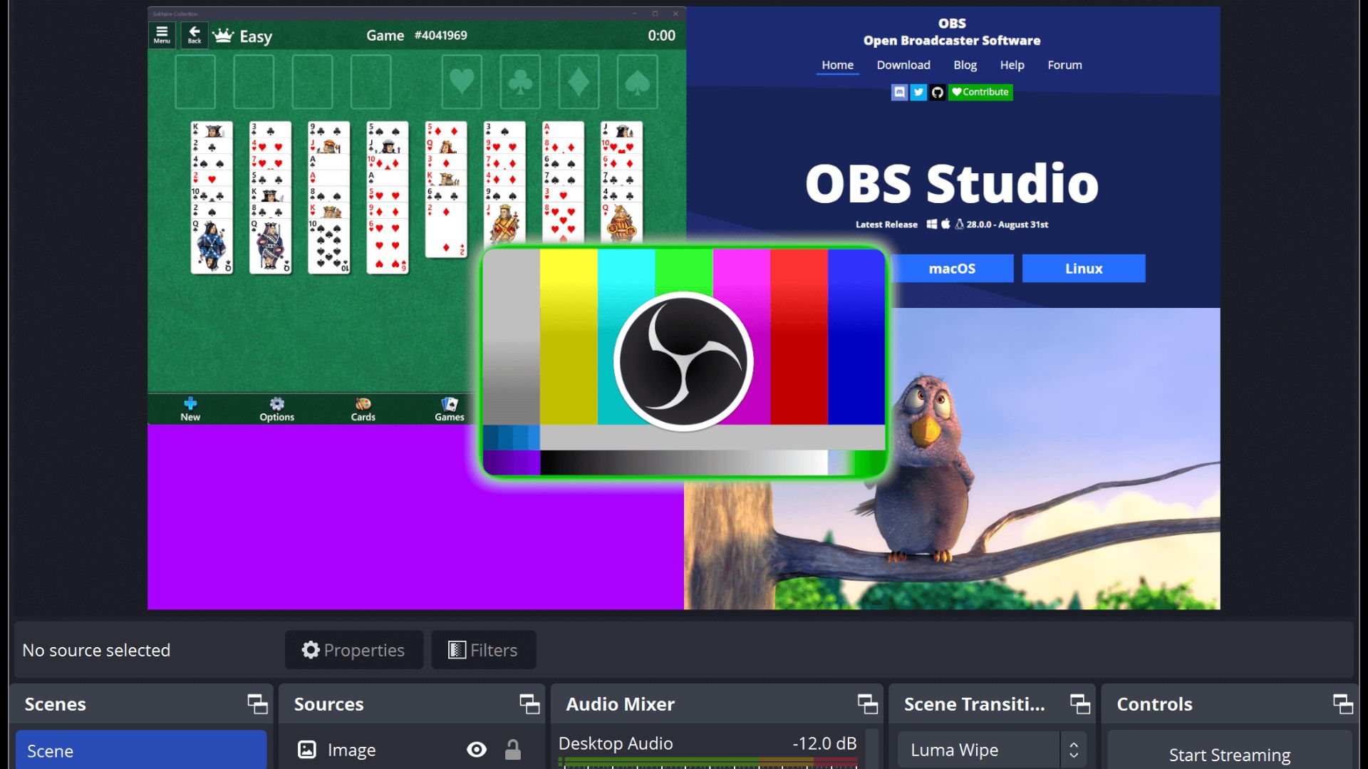 КАК ВЕСТИ ТРАНСЛЯЦИИ В RUTUBE И КАК УСТАНОВИТЬ  OBS STUDIO
