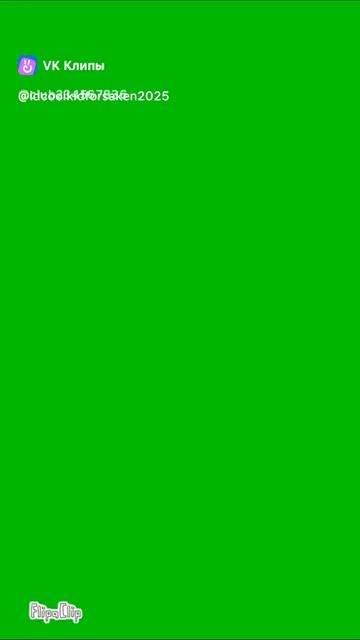 😎😎🤣🤣🤣🤣🤣🤣