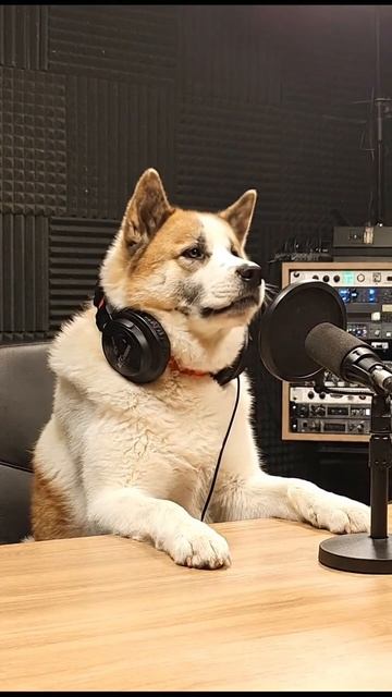 44784d74dc84c516e95b23bedef2ca0c