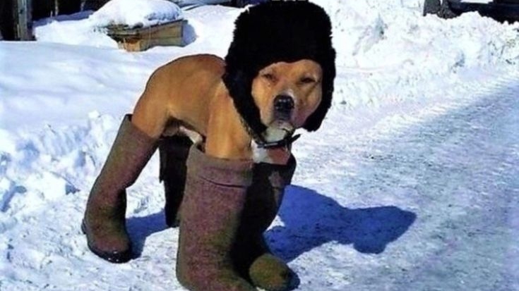 Cc8d14636c1fefd380e82d637aa175b0