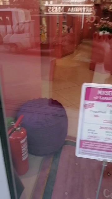 Барби куклы