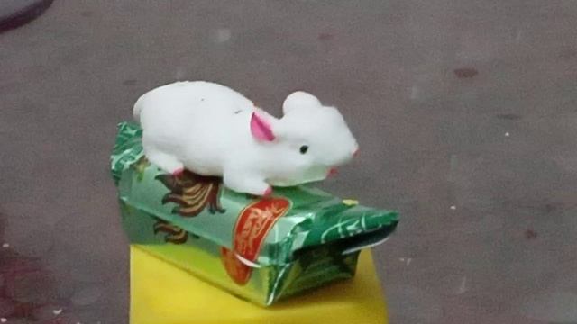 Мыши в комнате