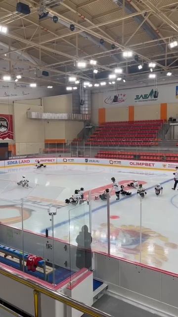 ТОВАРИЩЕСКИЙ МАТЧ по следж-хоккею! ВЕРХНЯЯ ПЫШМА