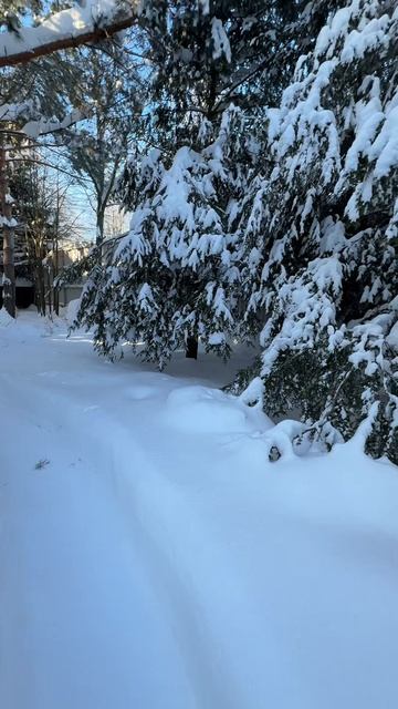 37ba300efd5711d592442639ee73984e