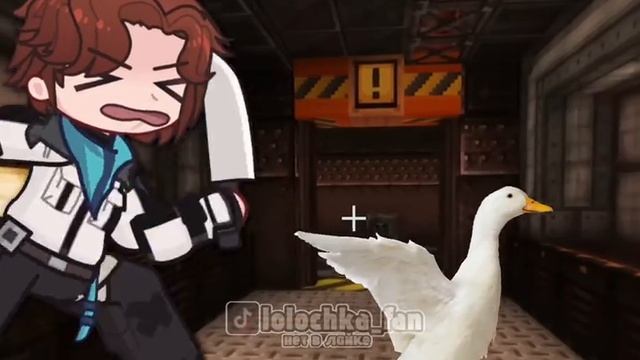 94b9c7ed59ce28e6bb2cdccd5f2c9e05