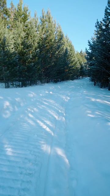 Загородный посёлок Красноярск