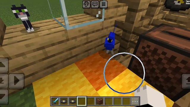 попугайчик