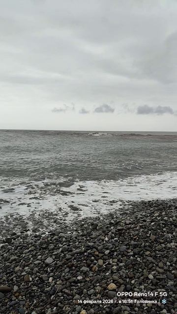 14.02.2026 Лазаревский район. Головинка.