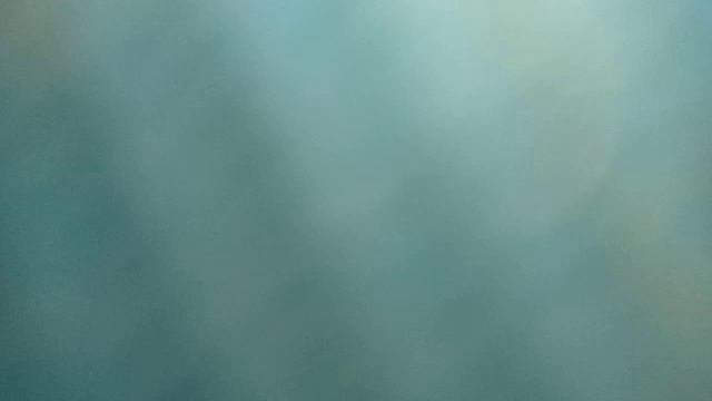 VID_20260214_122114.mp4