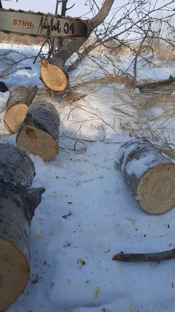 Заготовка дров на весеннюю охоту🦆🎯