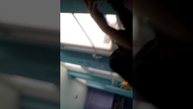 VID_20260214_111903.mp4