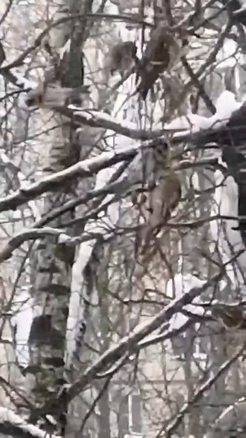 3771dd02e7cc1906d075b292f21ed565