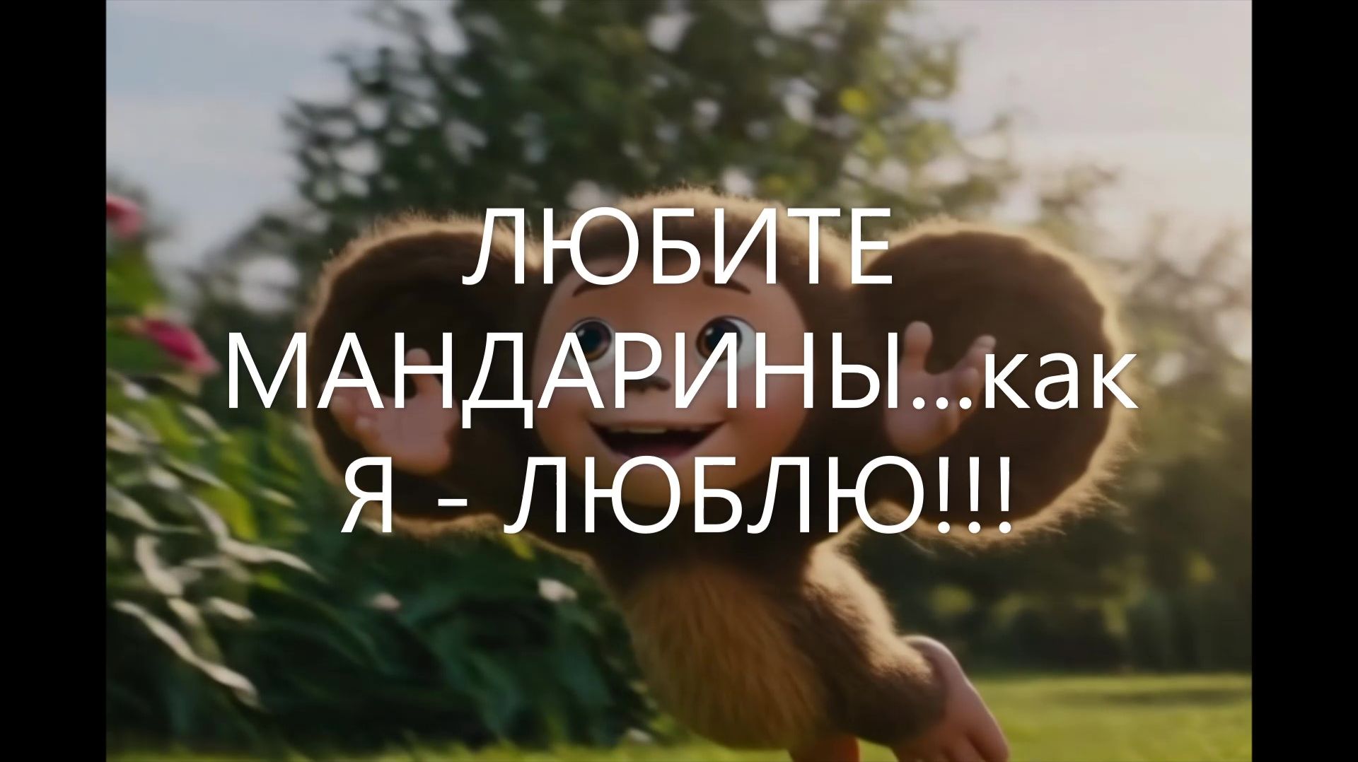 ЧИСТОСЕРДЕЧНОЕ ПРИЗНАНИЕ в..."ЛЮБВИ"...к МАНДАРИНАМ от ЧЕБУРАШКИ!