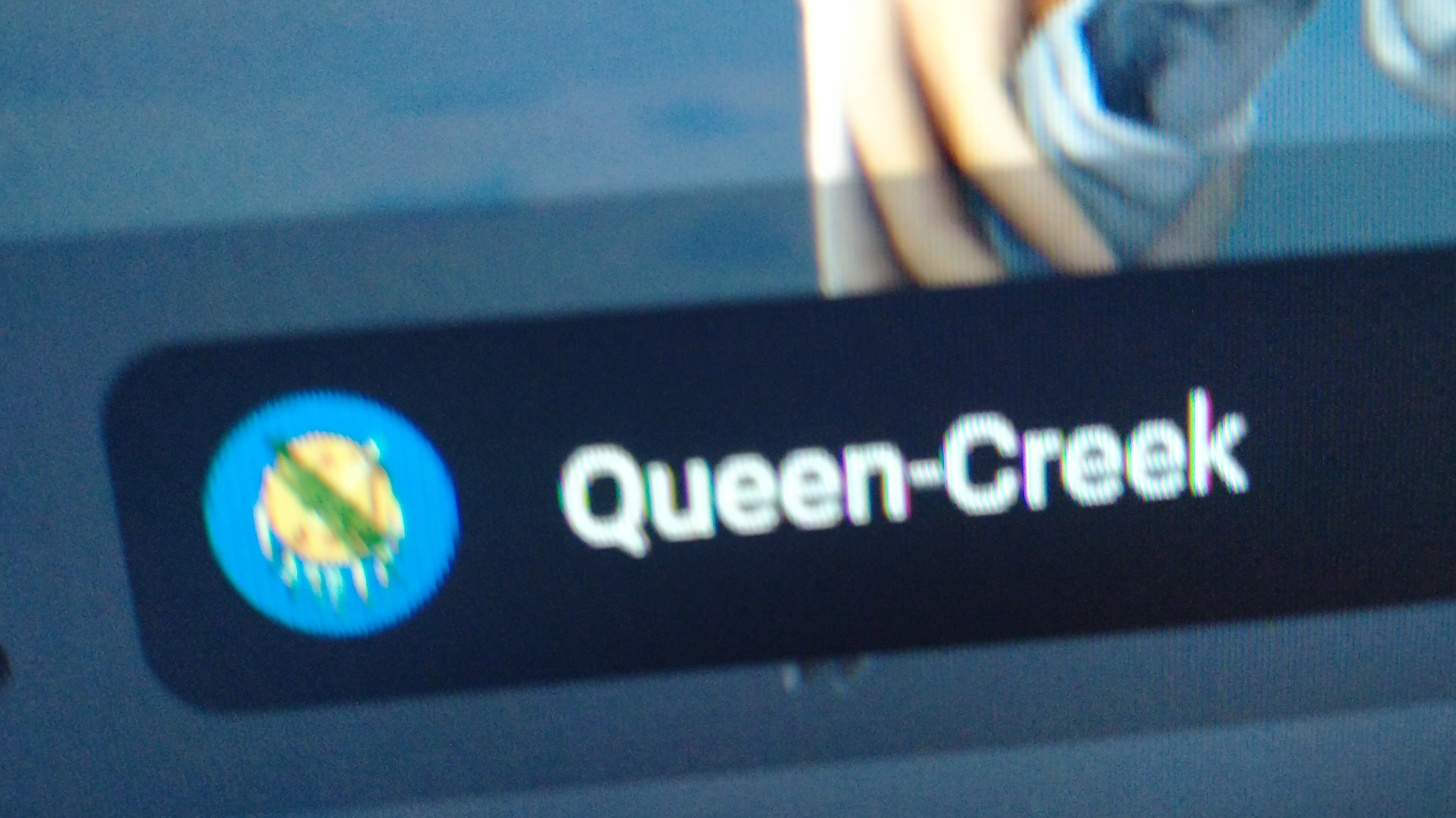 играю в Аризону и отвечаю на вопросы