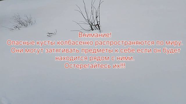 Внимание!
