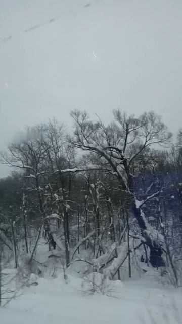 зимний путь