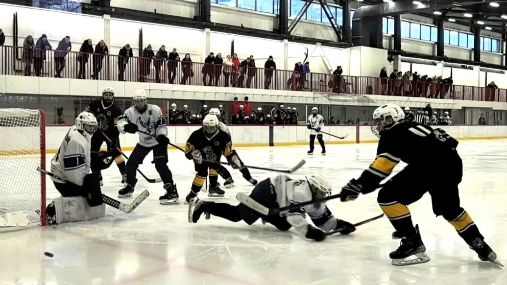 Пингвины 0-4 Синяя птица 15.02.2026