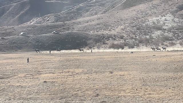 9ff99a3f681b8eeac81d0994c8513be9