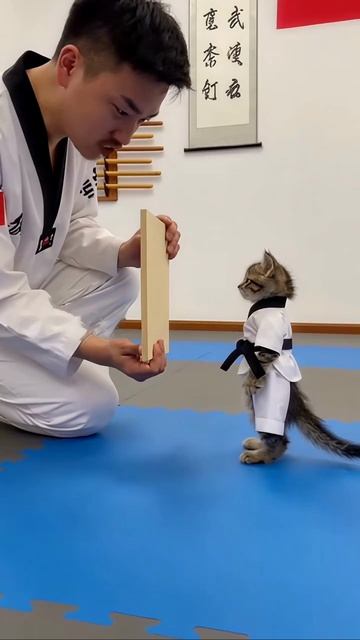 Вот это удар! 👊