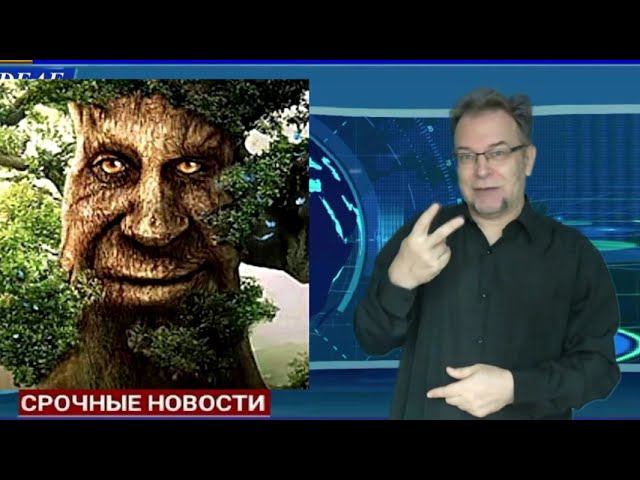 Распознавание жестов(дактиль) / Sign Language Recognition