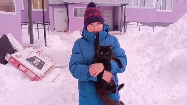 15.02.2026 Снежные ❄️❄️ кошки 😾😾 Муся и Шлёпа лапами 🐾 ступили на снежные сугробы