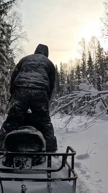 Дорога к лесной избе
